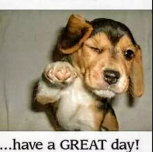 ❤️❤️❤️❤️